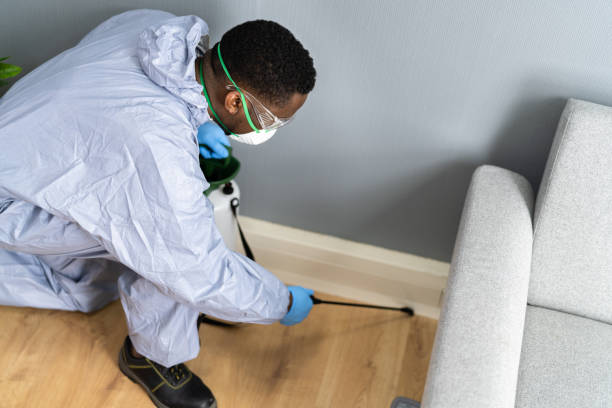 Real Estate Pest Inspections in Flora, IN